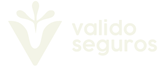 Valido seguros